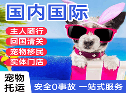 果洛玛沁机场空运国际宠物托运 【国